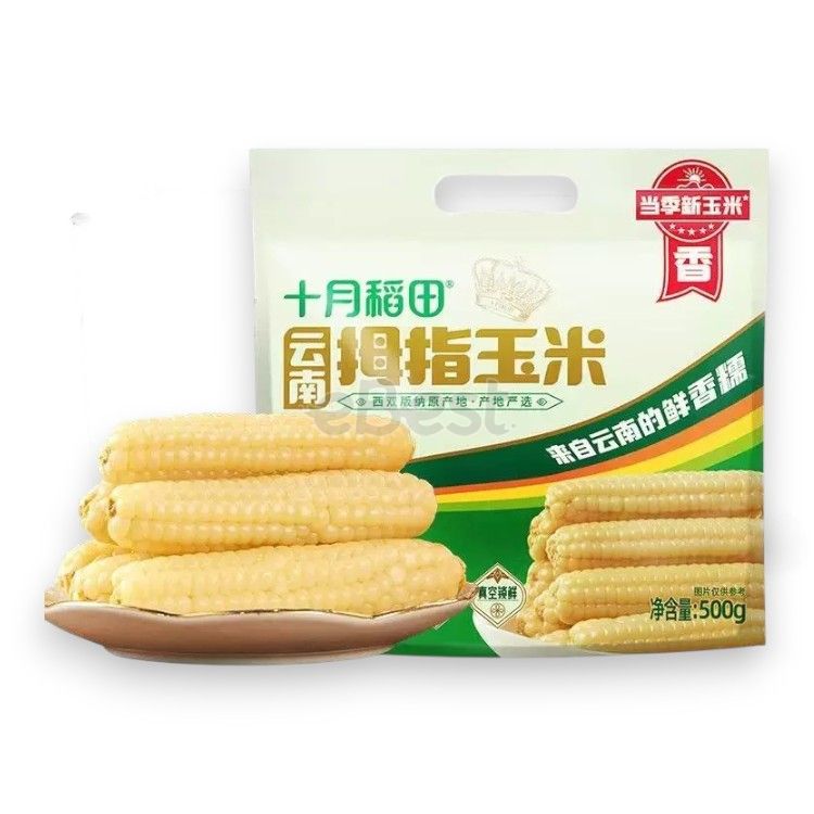 October Rice Fields Yunnan Thumb-Sized Corn 500g-eBest
