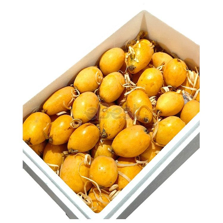 Tai Lai Loquats - The Pinnacle of Loquats, Size L (Approx. 250g)-eBest