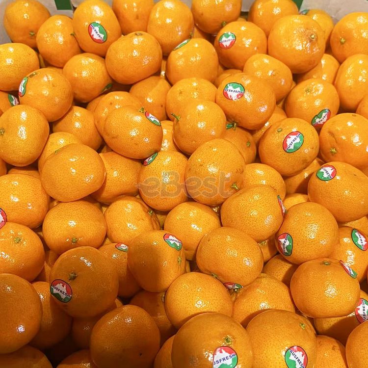 Super Sweet and Juicy Mandarin Oranges, Small to Medium Size