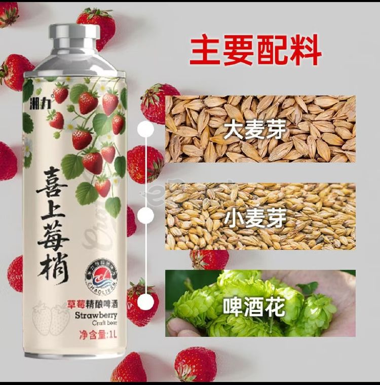 Trendy Berry-Style Chinese Craft Beer 1L (ALC 3.6%)-eBest