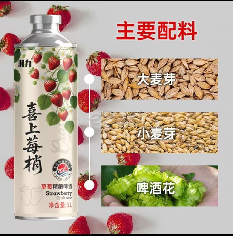 Trendy Berry-Style Chinese Craft Beer 1L (ALC 3.6%)-eBest