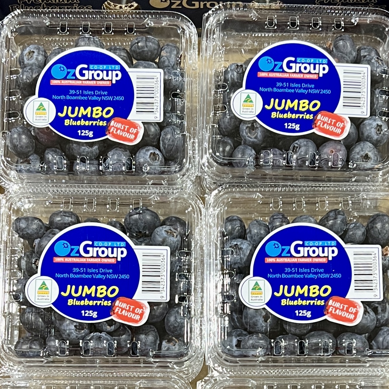 Daily Early Morning Arrival: OZ Jumbo Blueberries, 12 x 125g Box-eBest-Fruit,Fruit & Vegetables-eBest Brand Fruits and Vegetables