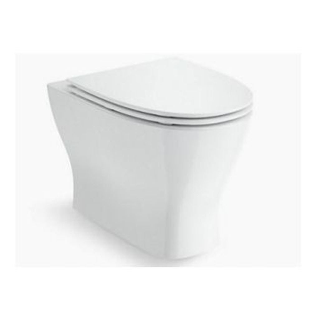 Kohler Reach Up Wall faced Pan