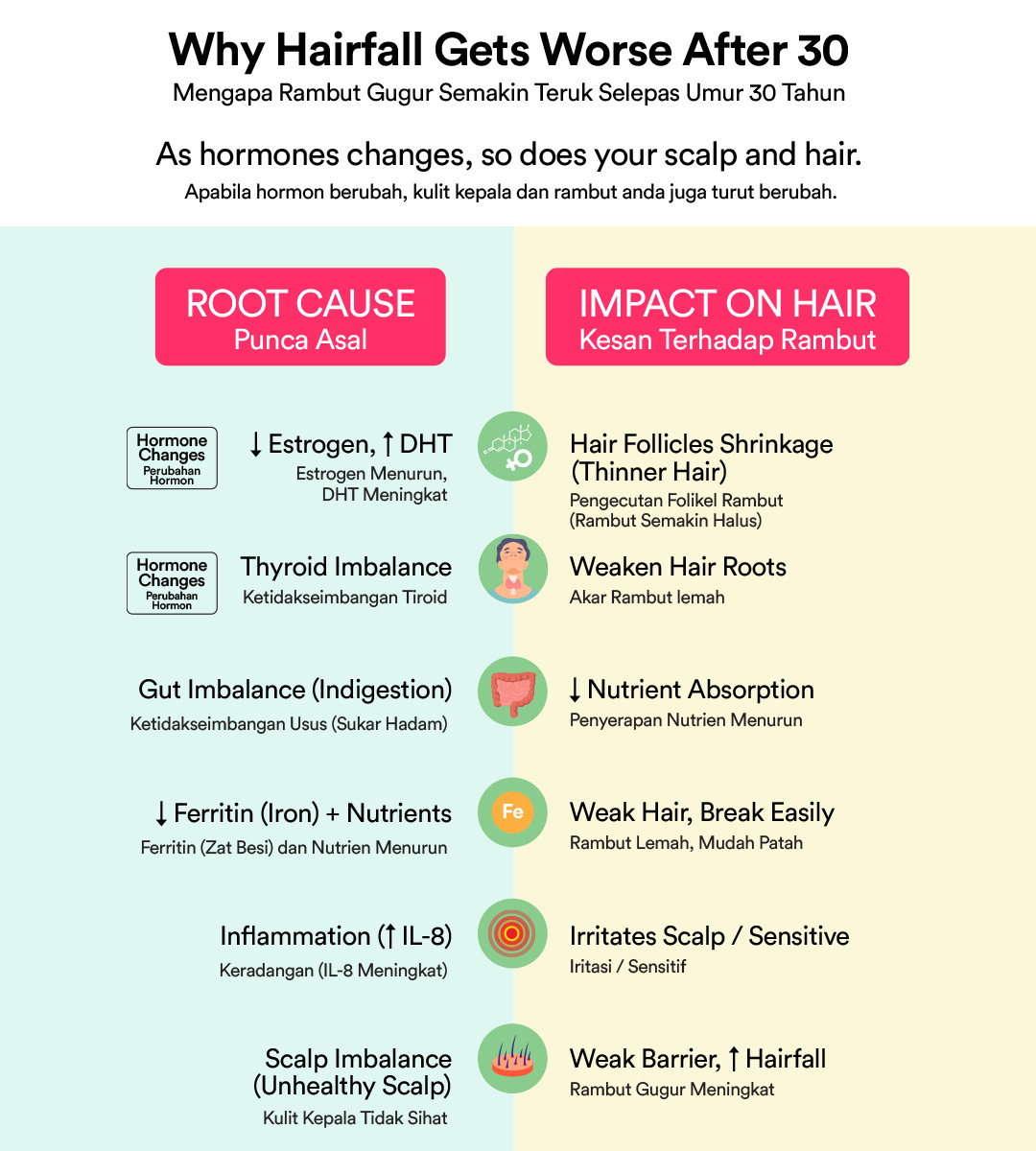 Aimee HairéBloom Vegan Collagen+