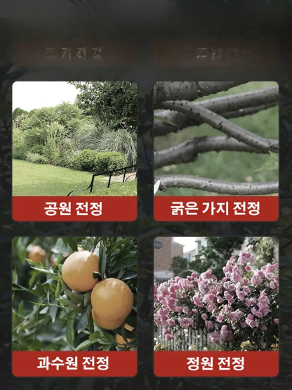 [오늘 본 매장에서 반값 할인 중! ] 독일 리튬 배터리 충전식 정원 전지 가위