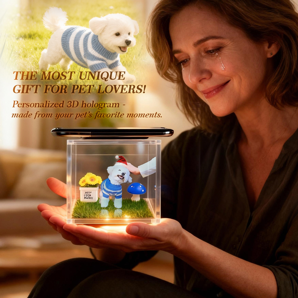 Pet Holographic Digital House | Pet Memorial Ornaments | High-Transmittance Holographic Material Image DIY Pet Holographic House - MyFaceSocksAU
