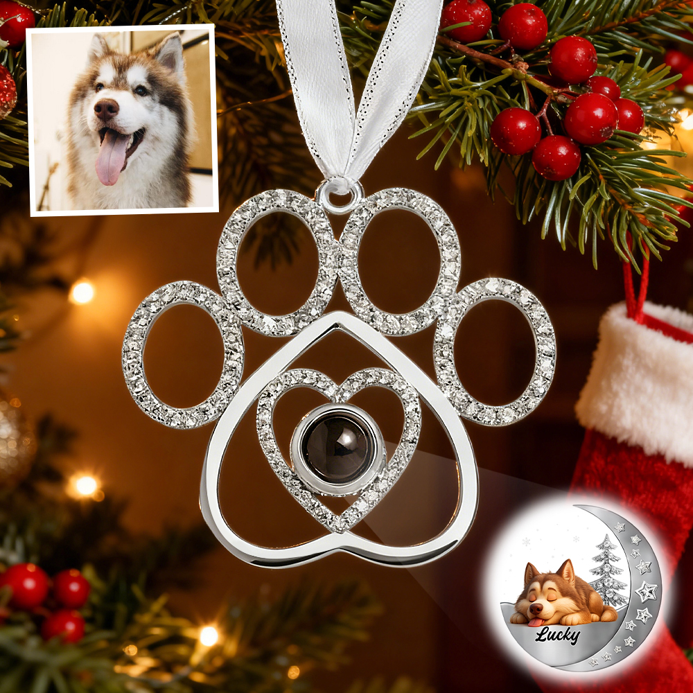 Personalized Snowflake Photo Ornament Custom Projection Ornaments Christmas Gifts Pet Lover - MyFaceSocksAU