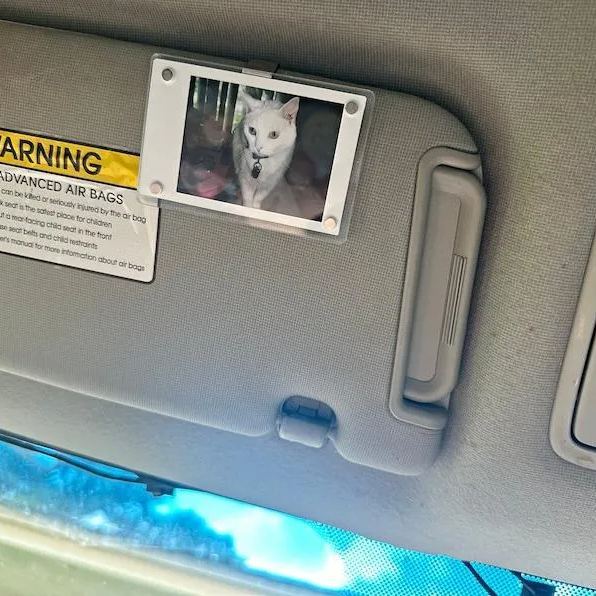 Photo Car Visor Clip Custom Sun Visor Clip Personalized Photo Car Decoration  Photo for Car Couples Gift - MyFaceSocksAU