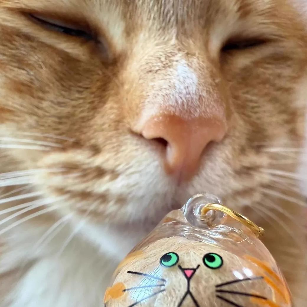 Transparent Cat Fur Capsule Keychain – Acrylic Gashapon Memory Holder Charm - MyFaceSocksAU