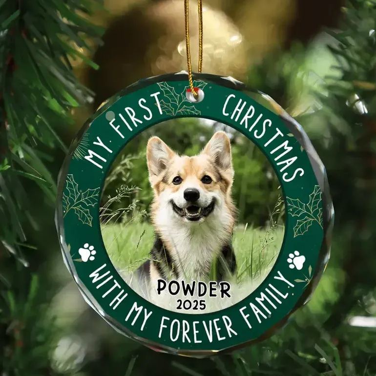 Custom Photo First Christmas Pet Lovers - Personalized Circle Glass Ornament - MyFaceSocksAU