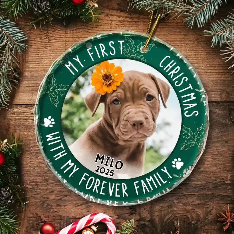 Custom Photo First Christmas Pet Lovers - Personalized Circle Glass Ornament - MyFaceSocksAU