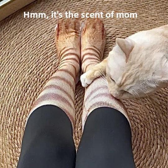 Realistic Animal Paw Print Socks – Lifelike Cat & Dog Claw Effect Novelty Fun Christmas Gift Socks for Pets Lover Kids - MyFaceSocksAU