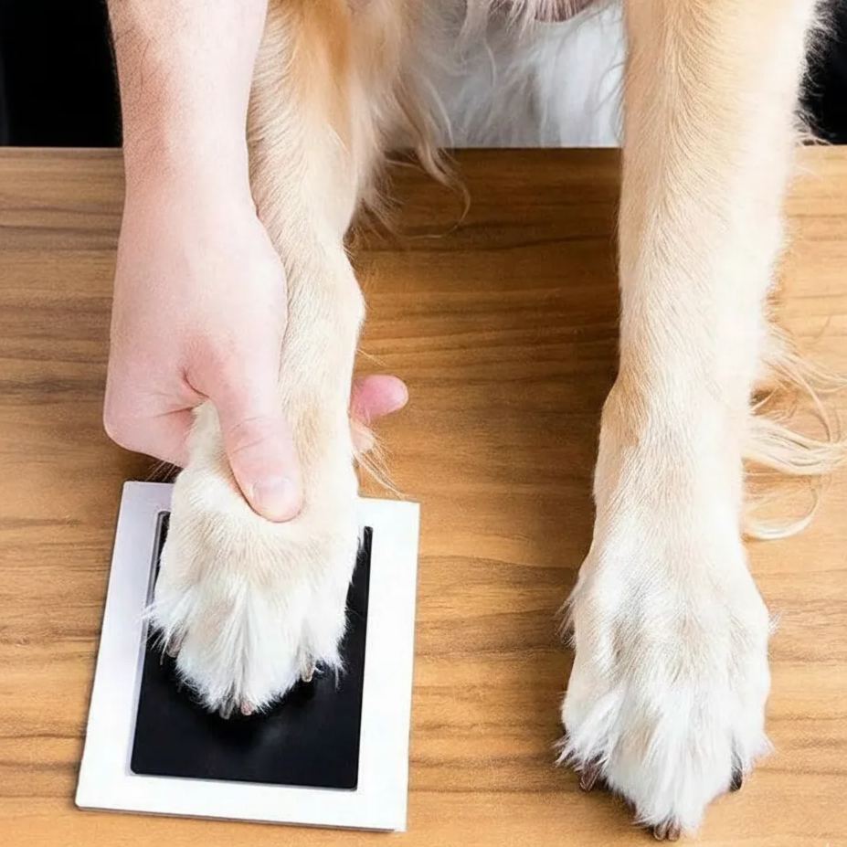 Custom Pet Paw Print Ink Pad No Mess Dog & Cat Paw Print Kit Pet Keepsake DIY Paw Impression - MyFaceSocksAU