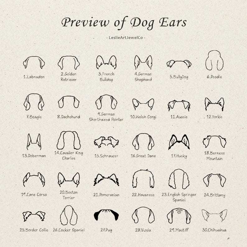 Personalized Dog Ear Projection Necklace, Custom Picture Inside Jewelry, Pet Ear Picture Jewelry, Memorial Necklace, Christmas Gifts for Mom - MyFaceSocksAU