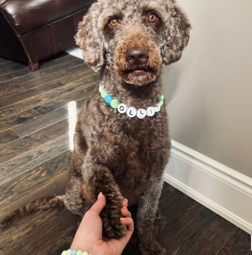 Personalized Pet Name Necklace – Comes with a Free Matching Bracelet - MyFaceSocksAU