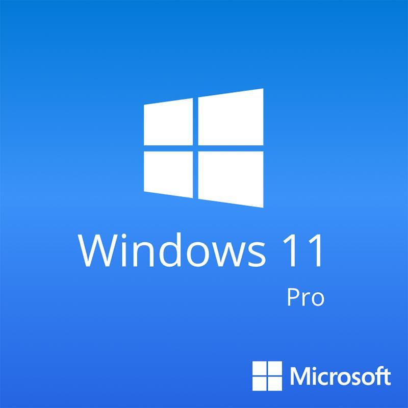 Microsoft Windows 10/11 Pro OS|正規プロダクトキー|日本語対応|新規インストール版|ダウンロード版|永続使用で