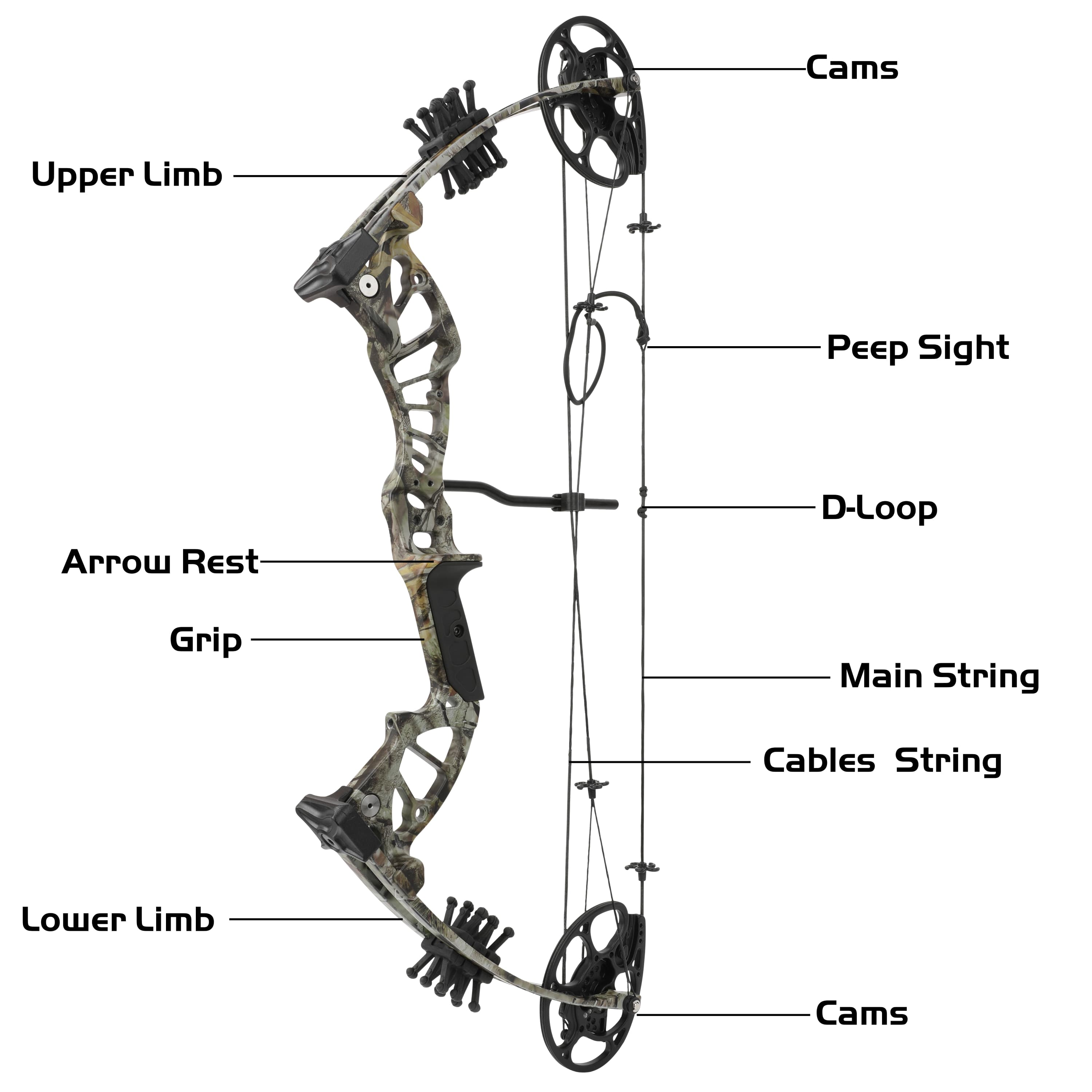 Compound Bow Arrow set 15-45lbs Archery Let-off 75% Target
