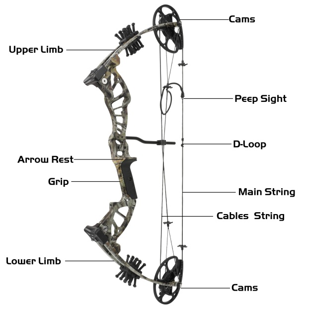 Compound Bow Arrow set 15-45lbs Archery Let-off 75% Target