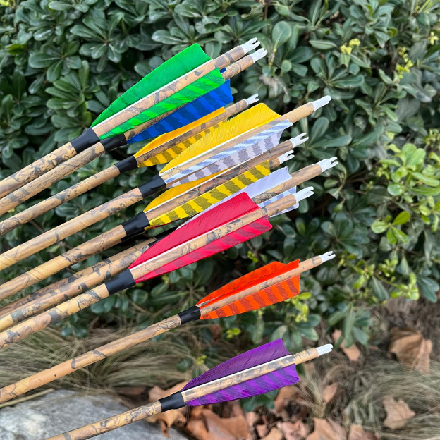 12pcs Carbon Mix Arrows 500 Spine, 31" Target Practice & Hunting