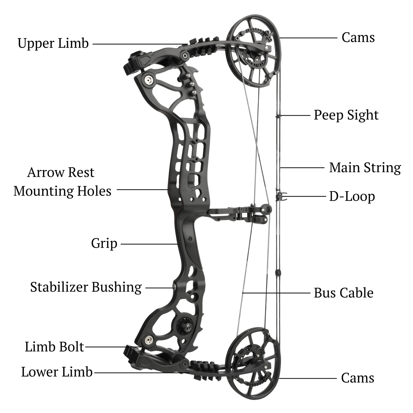 20-70lbs Compound Bow set Archery Shooting Balls