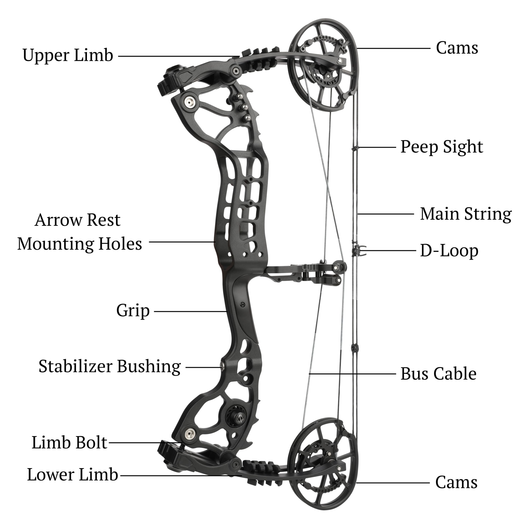 20-70lbs Compound Bow set Archery Shooting Balls