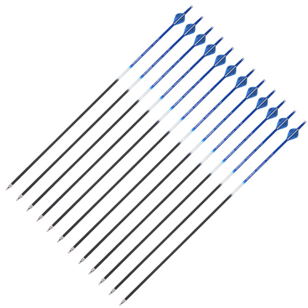 Archery Carbon Arrows Vanes Recurve Compound Bow Shooting