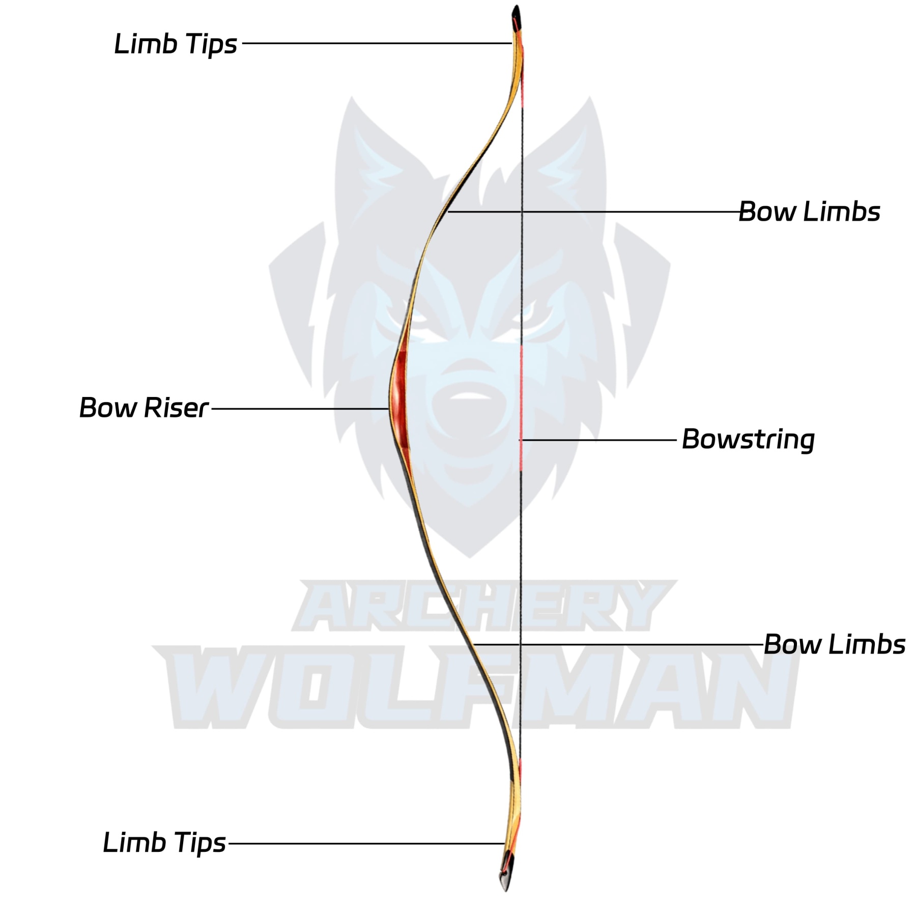 55 inch Traditional Longbow Kit Handcrafted 20-50Ibs Hunting