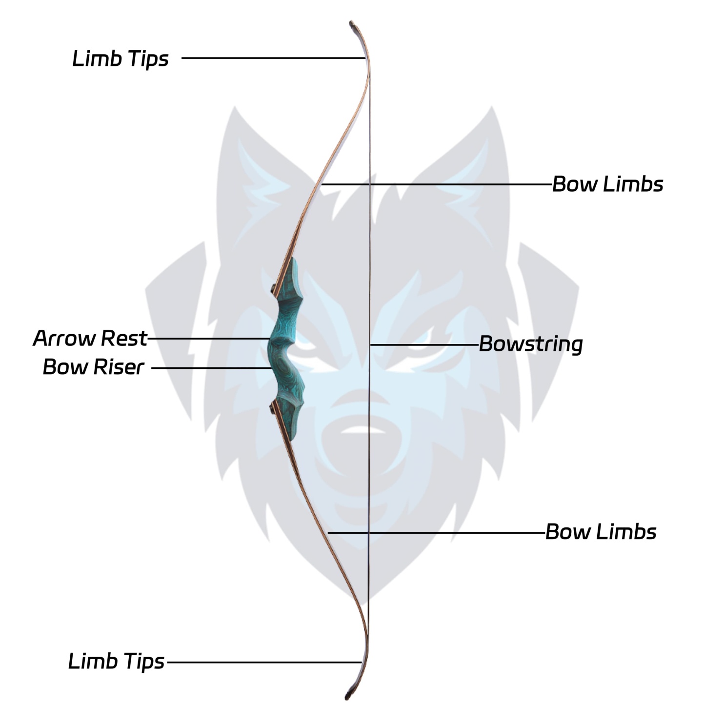 Black Hunter Archery Hunting Bow Kit 20-60lbs LH RH