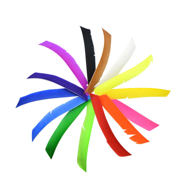 Turkey Fletches Full Length Arrow Feathers Archery DIY Left Wings