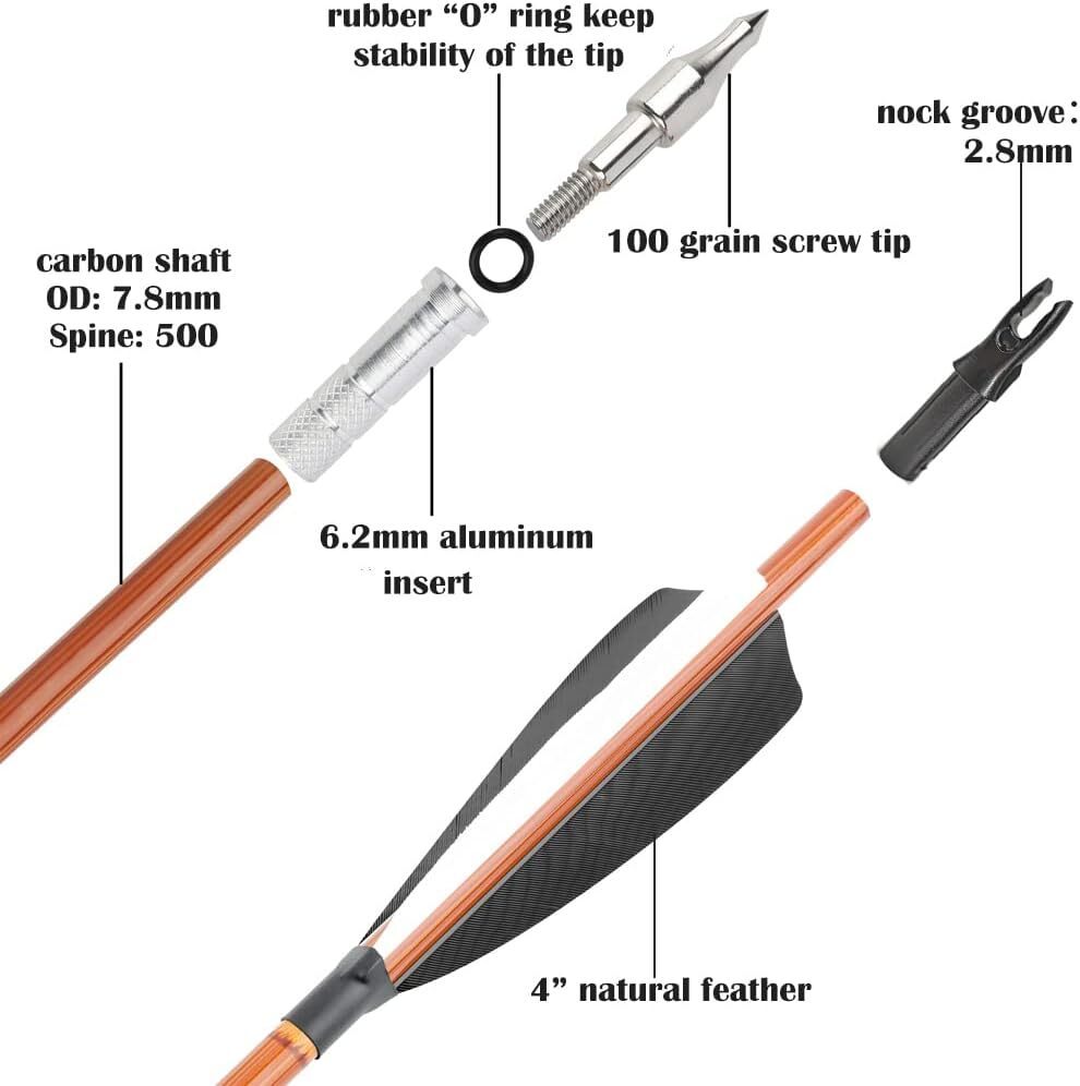 HOYT Tiburon Takedown Recurve Bow and Arrows Set FORMULA
