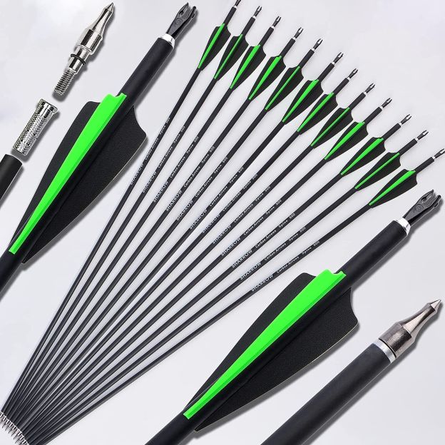 Archery Carbon Arrows 30" SP500 Target Hunting Practice