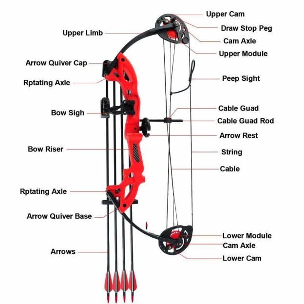 Best Beginner Compound Bow Set for Youth & Adults 15-29lbs