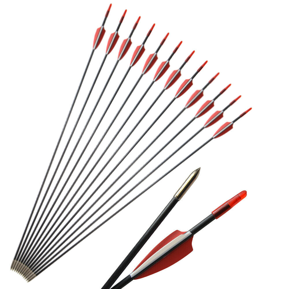 31" Fiberglass Arrows Target Practice Recurve Bow Hunting Shooting