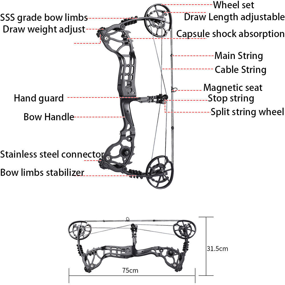 Dual-Use Compound Bow Hunting Bowfishing Steel Ball Arrow RH LH