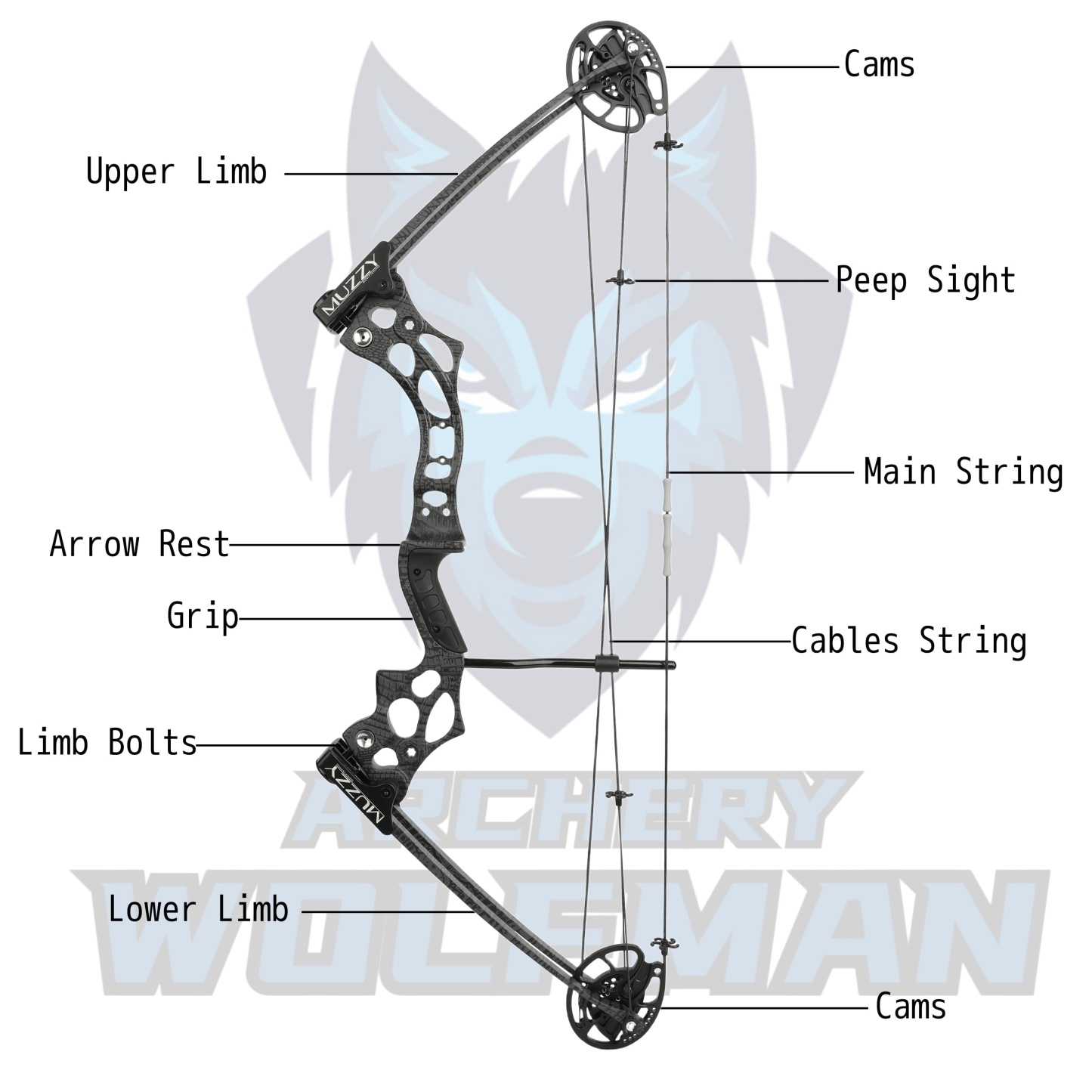 Archery 14-45lbs Compound bow Arrow set Shooting Target
