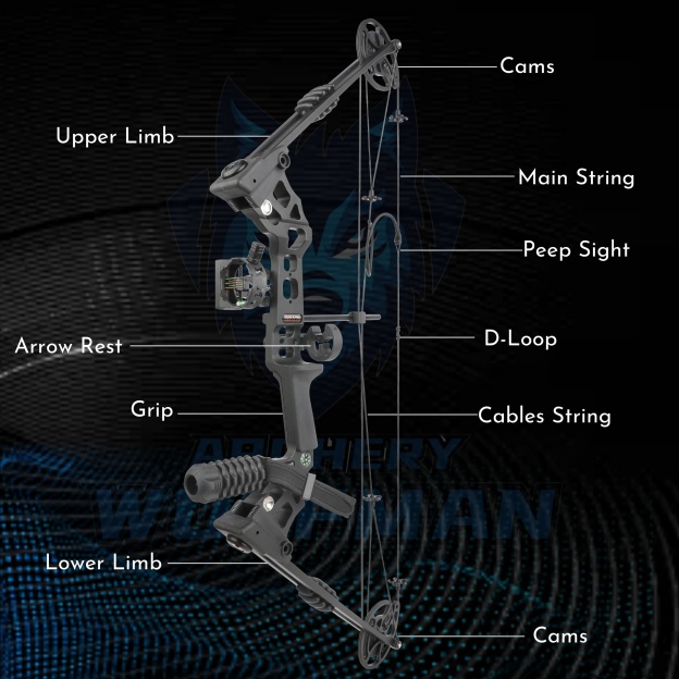 Compound Bow Set 0-70lbs Archery Let-off 80% RH LH