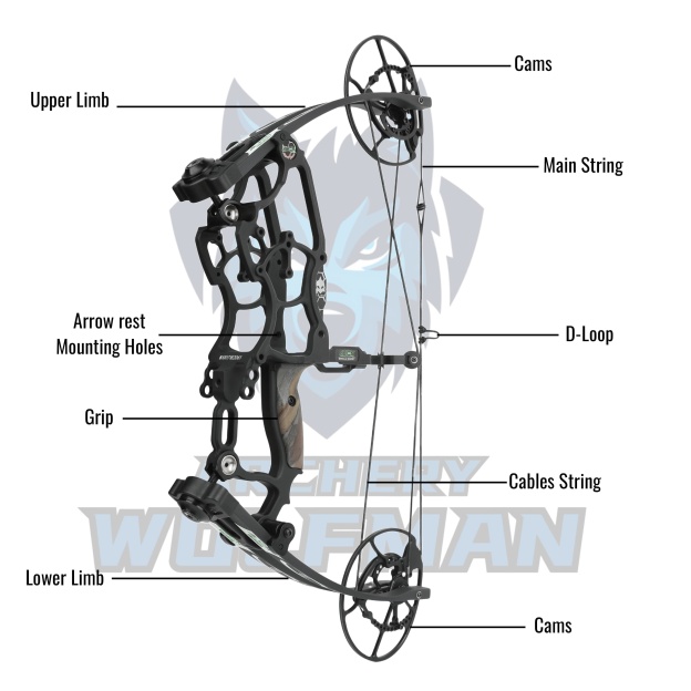 Draw Weight 30-70LBS Dual Use Compound Bow Set Shooting archery 