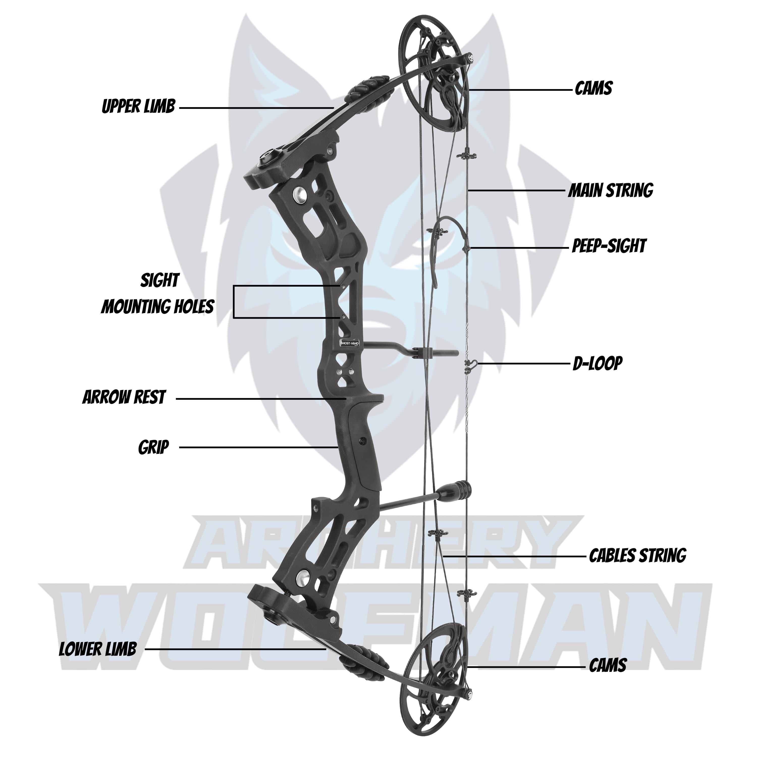 Compound Professional Bowfishing Set Land-Water Dual-Use Hunting Gear