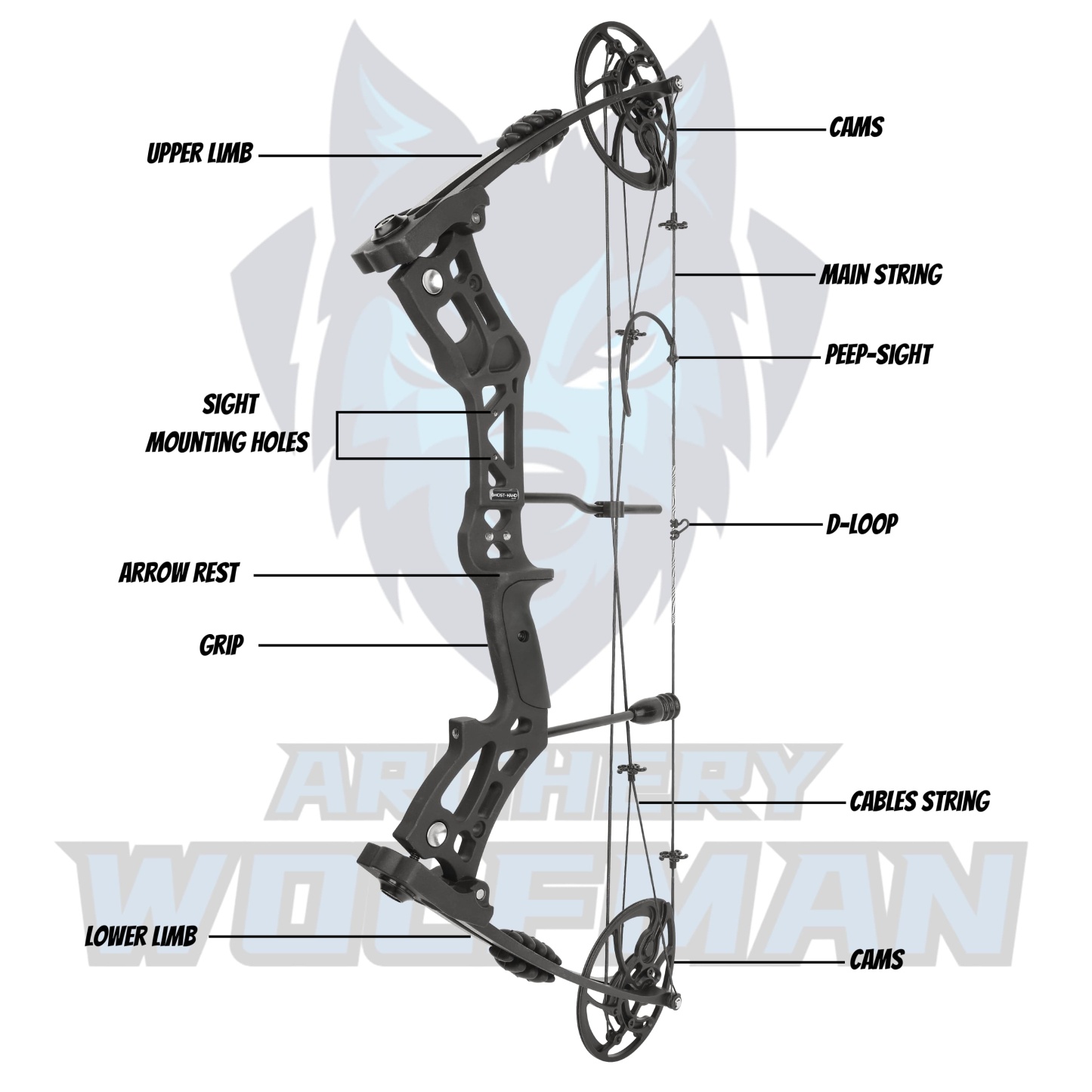 Compound Professional Bowfishing Set Land-Water Dual-Use Hunting Gear