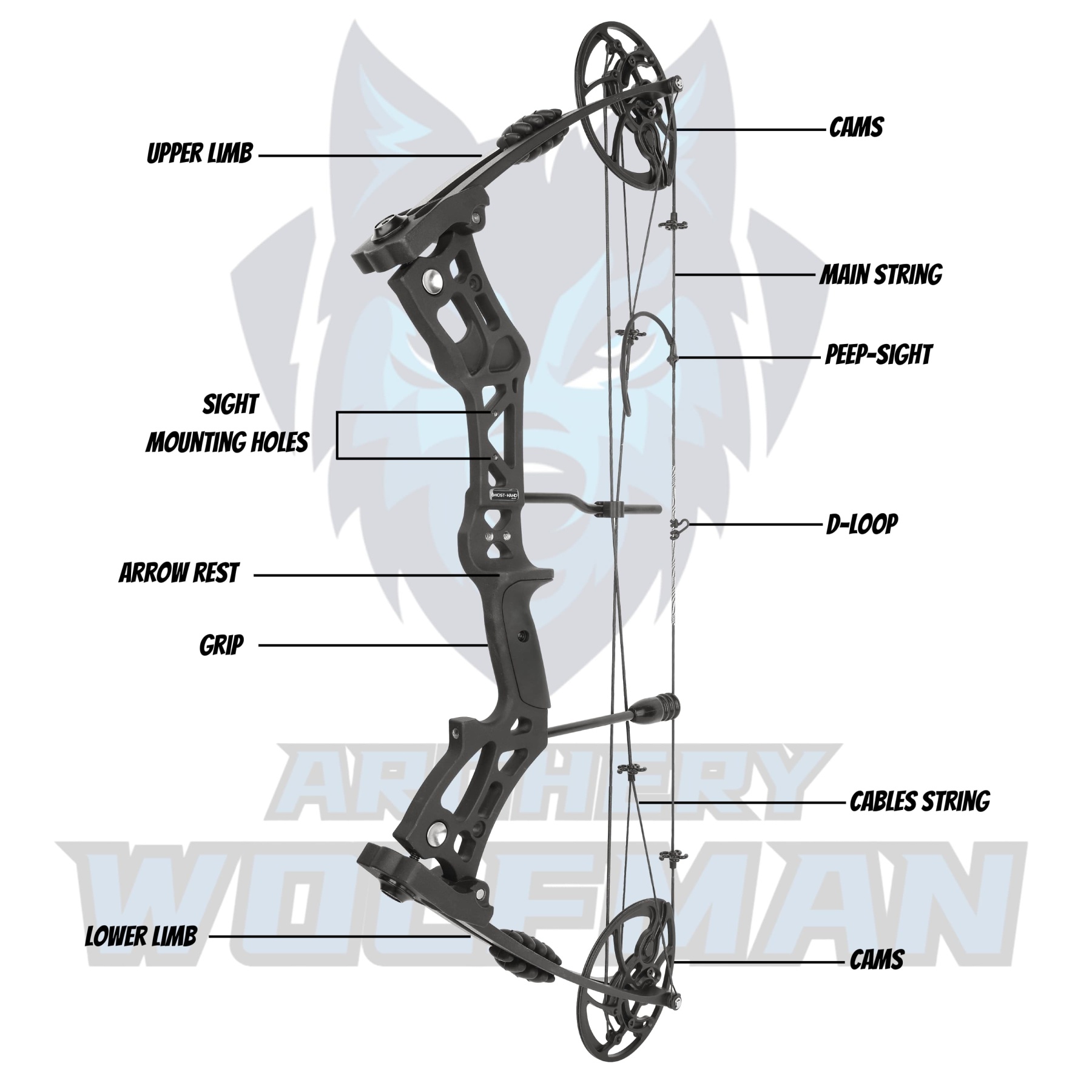 Compound Professional Bowfishing Set Land-Water Dual-Use Hunting Gear