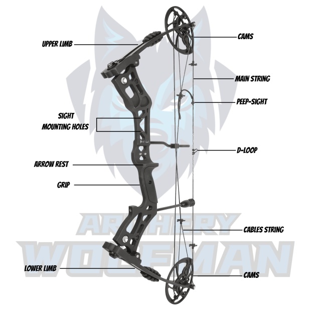Compound Professional Bowfishing Set Land-Water Dual-Use Hunting Gear