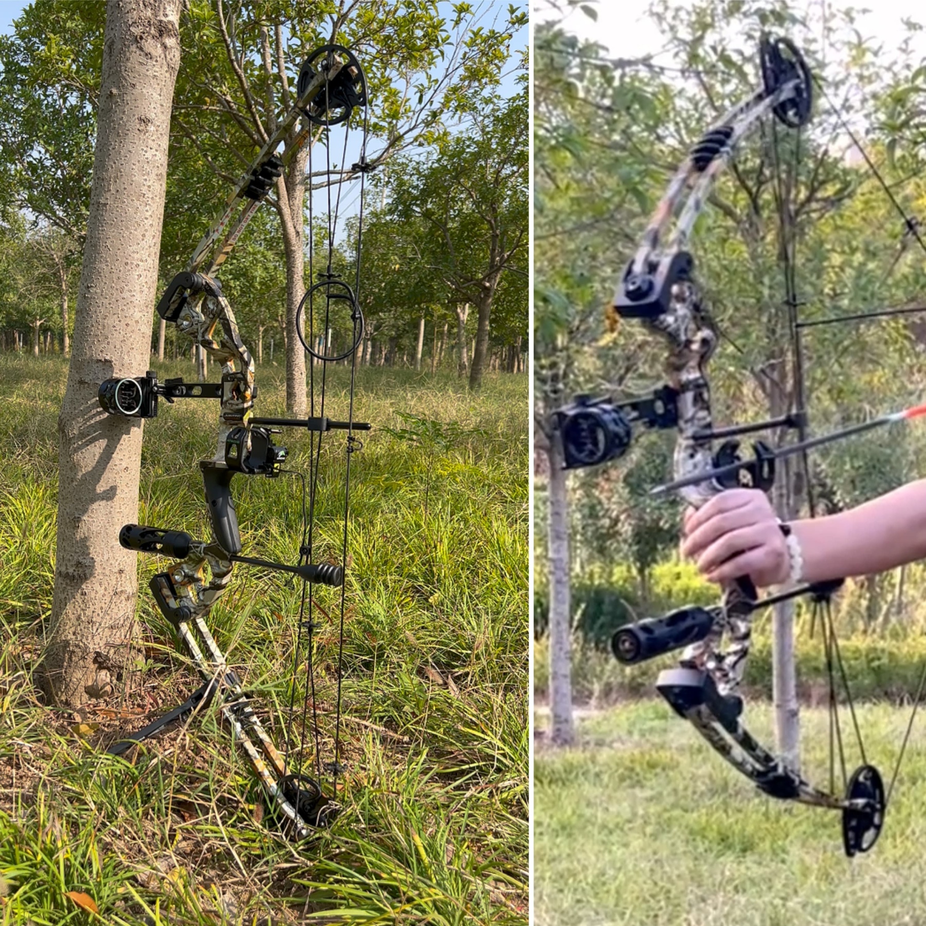 Compound Professional Bowfishing Set Land-Water Dual-Use Hunting Gear
