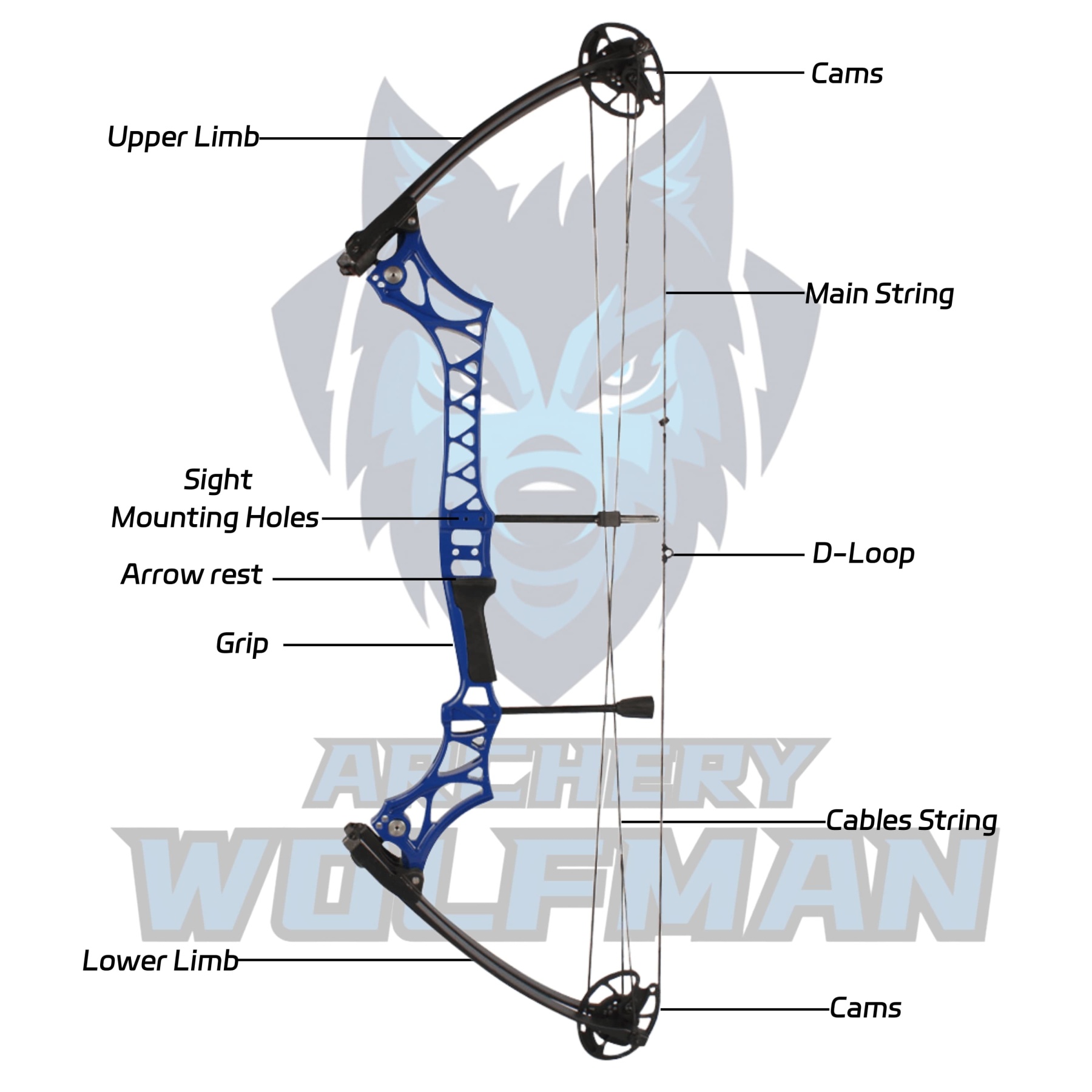 40" Compound Bow Set 30-55lbs Adjustable 12 Arrows 10 Targets 