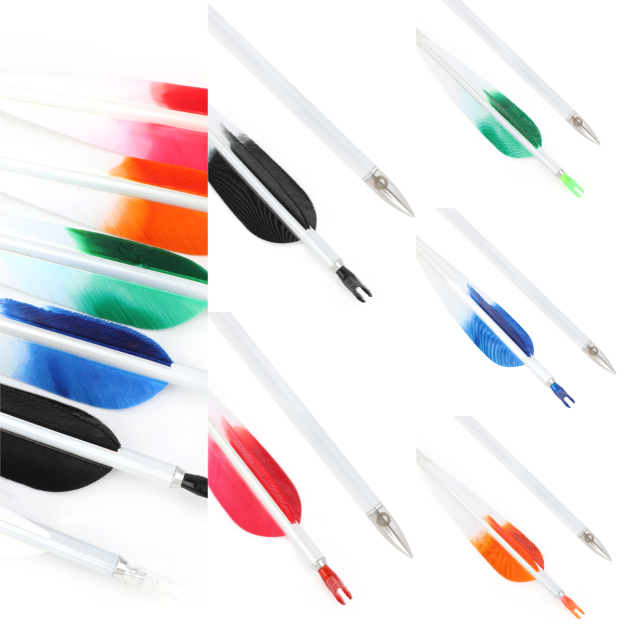  Pure Carbon Hunting Arrows Fletched Feather Spine 400-800
