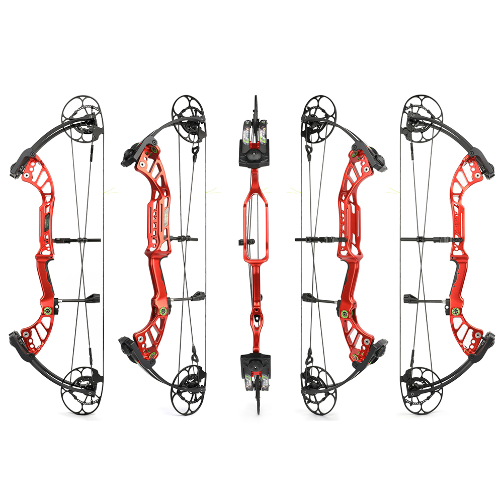 Compound Hunting Bow CNC 40-75 lbs IBO 350FPS RH