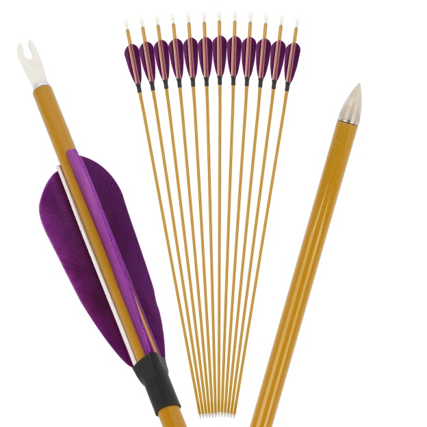 Mixed Carbon Arrows 32" 900 Spine Turkey Feather Target & Practice