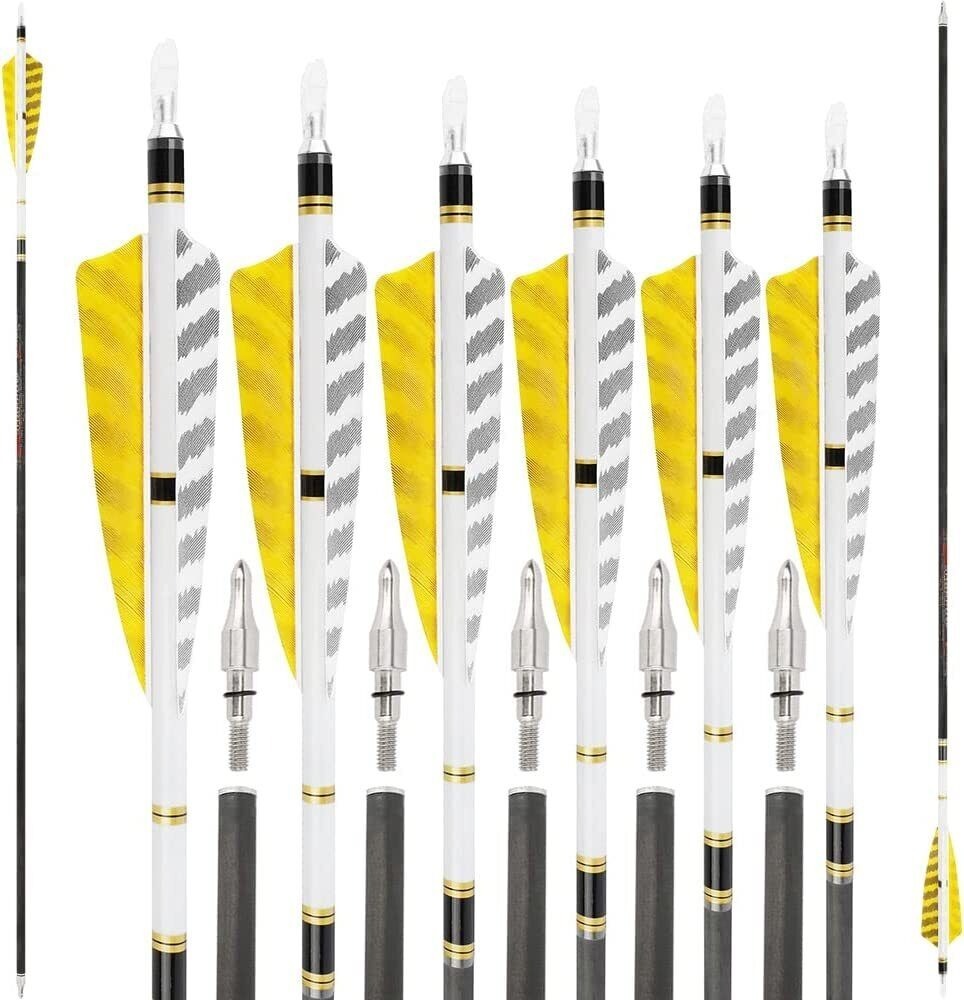 31" Pure Carbon Arrows SP250-600 Feathers Hunting Target