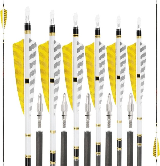31" Pure Carbon Arrows SP250-600 Feathers Hunting Target