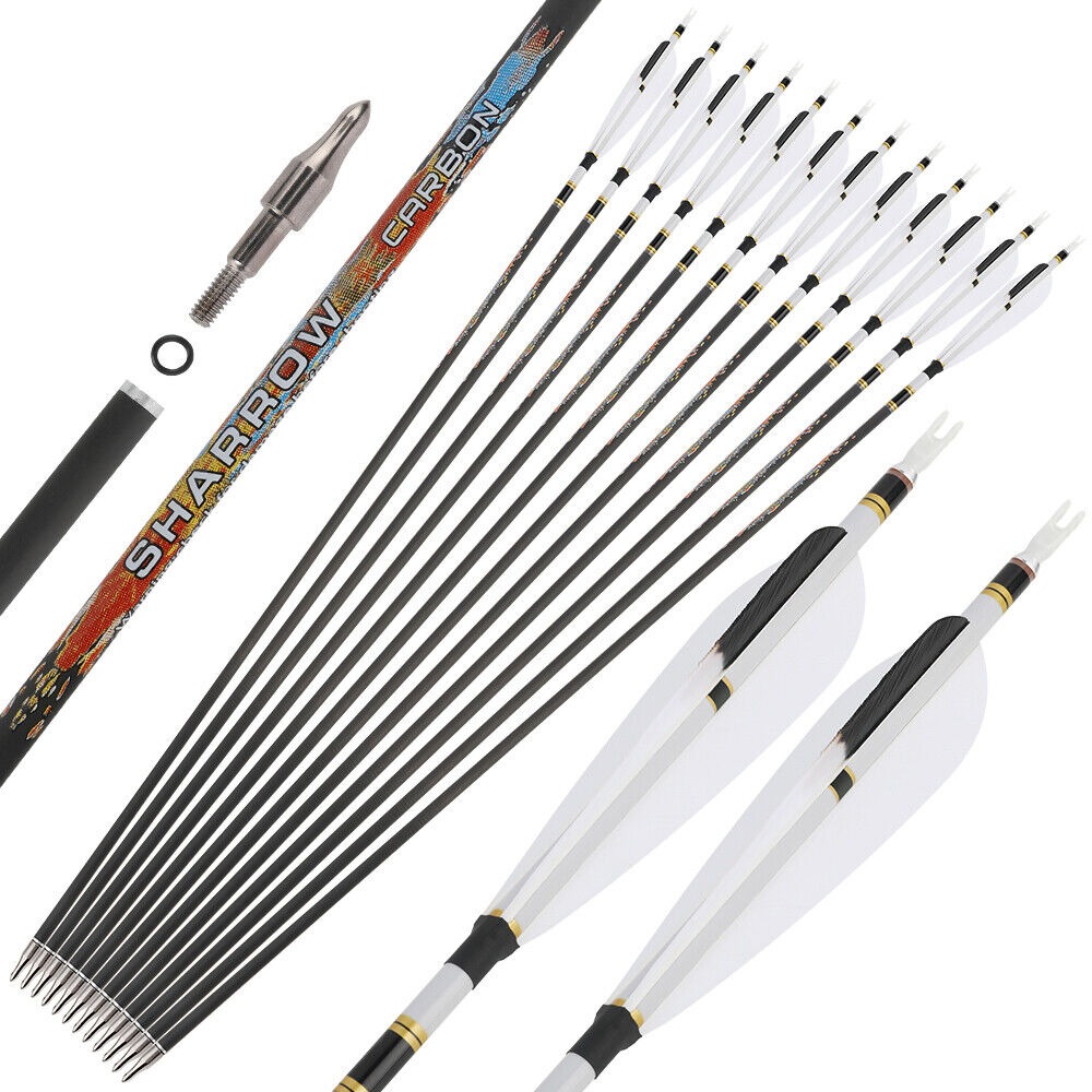 31 inch Pure Carbon Arrow SP250-600 Recurve Bow Compound Bow Hunting