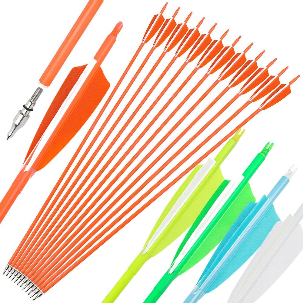 12pcs Archery Carbon Arrows 30" SP500 SP600 Feathers  Hunting Target
